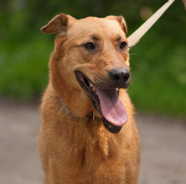 Ксюха хочет домой в Санкт-Петербурге