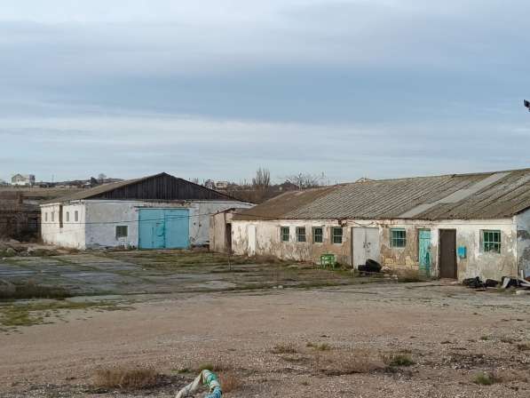 Земельный участок с причалом у моря 2,77 га в Крыму в Керчи фото 6