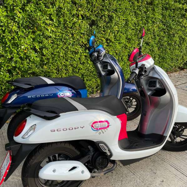 Honda Scoopy 110 см3 2023 года в аренду в 