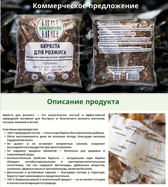 Береста