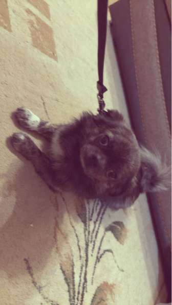 На вязку Лениногорск