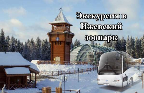 31 января 2020 Ижевский зоопарк + деревня Хаски ХП035 в Перми