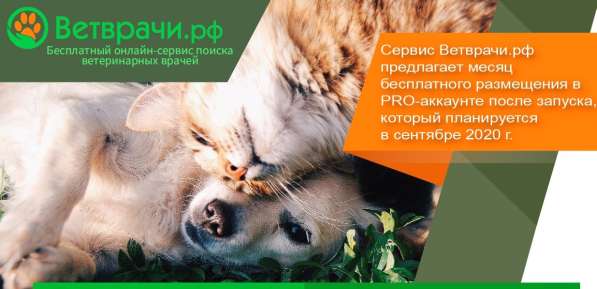 Предложение для ветеринарных врачей в Москве