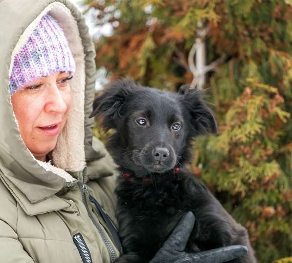 Очаровательные 4 мес щенки Филя и Феня в добрые руки! в Москве фото 5