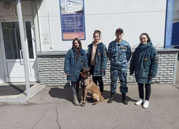 Передержка собак в Москве фото 4