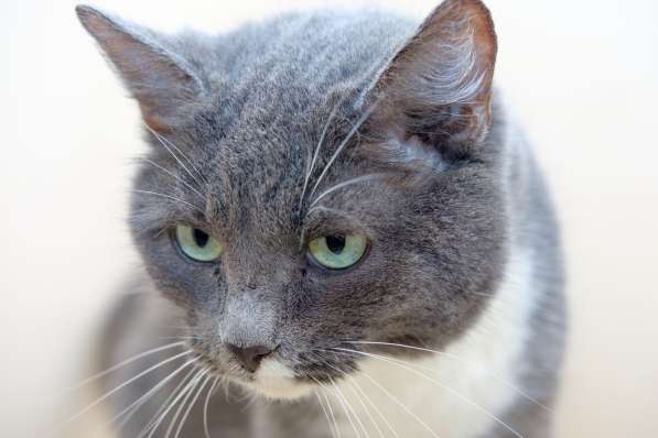 Нежная Пайпер ждет встречи с лучшим другом в Москве
