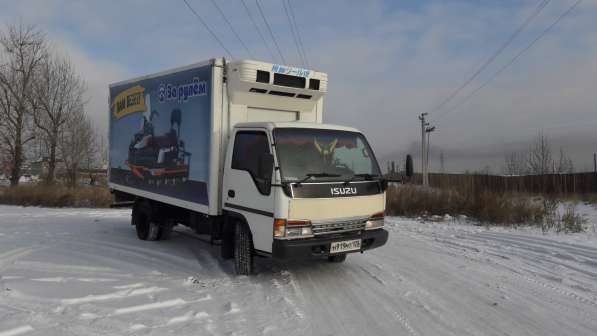 Грузоперевозки услуги рефрежиратора