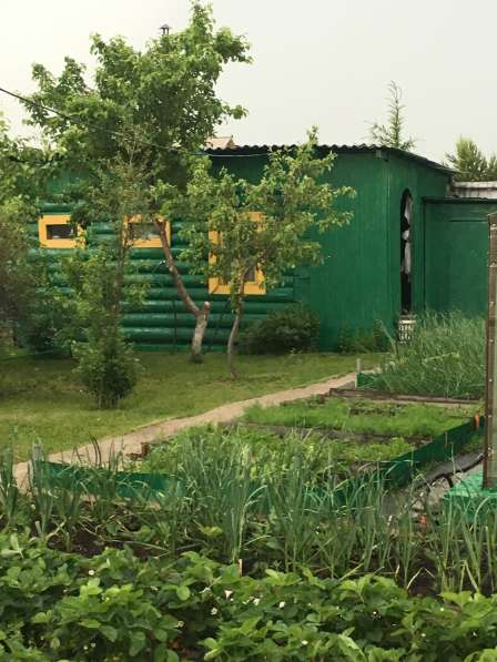 Срочно продам жилой дом + земельный участок