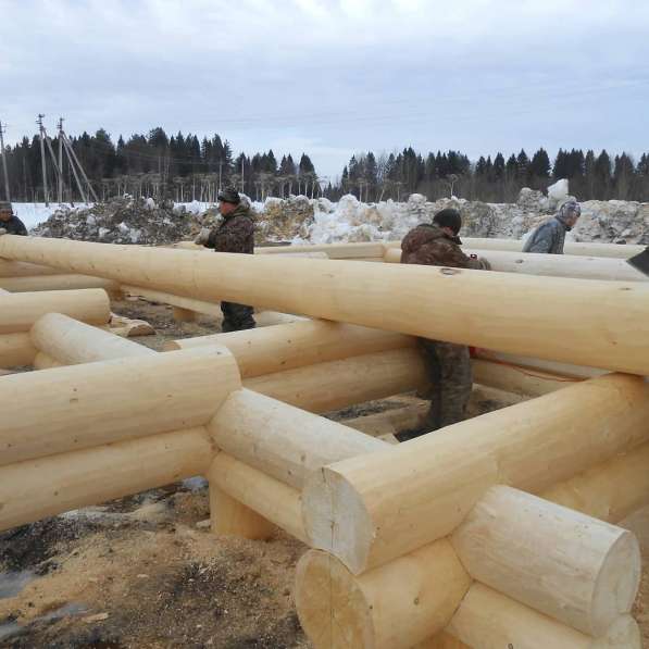 Дома, бани из вологодской сосны в Москве