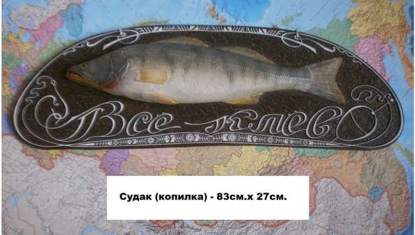 Сувенир для рыбака и охотника в Новосибирске фото 6