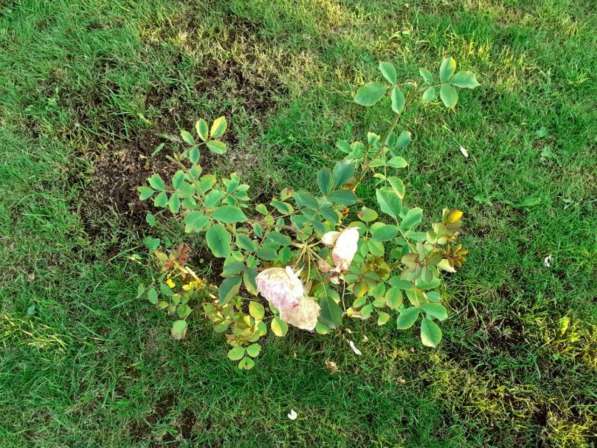 Дом рядом с Обнинском в Обнинске