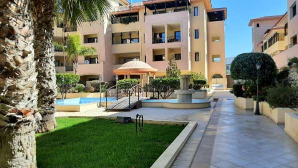 Апартамент в районе Пафоса-Кипр в Москве фото 41