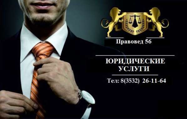 Профессиональный Юрист в Оренбурге фото 3