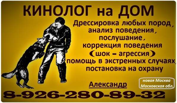 Кинолог на дом