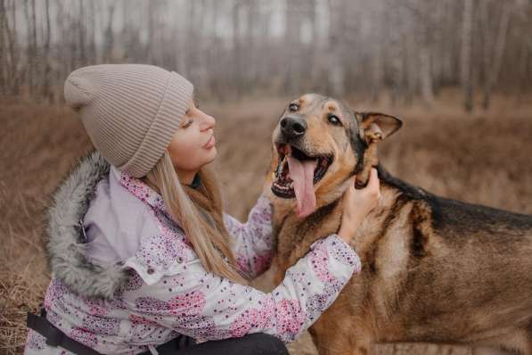 Большой добрый Борман ищет семью в Москве фото 24