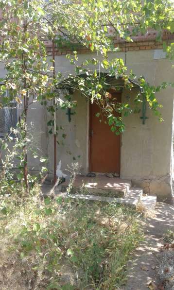 Срочно Продам дом (дача) в фото 13