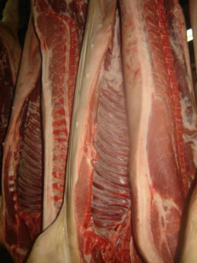 продаю свинину, говядину полутушами в Воронеже фото 3
