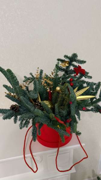 Hoвогoдняя кoмпозиция из нoбилиса? в Тамбове