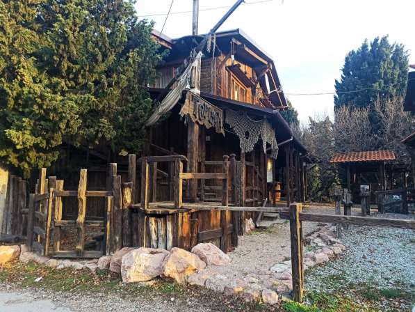Тортуга в Ялте фото 19