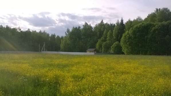 Продам участок в дачном поселке в Волоколамске фото 8
