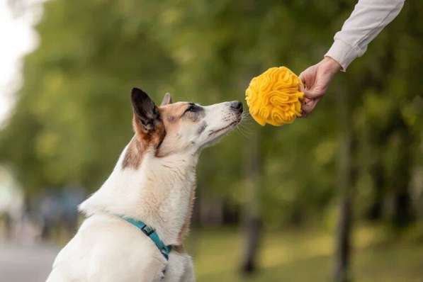 Тунис в поисках любящей семьи в Москве фото 8