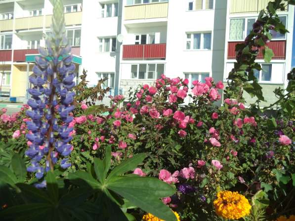 ПРОДАМ 2-Х КОМНАТНУЮ КВАРТИРУ СТУДИЮ С МЕБЕЛЬЮ в Новосибирске фото 23