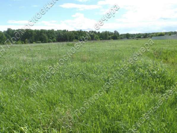 realty_mapper3.plot_in_locationСадовое некоммерческое тов-во. Площадь 650.00 сот.Есть Электричество. в Ногинске фото 11