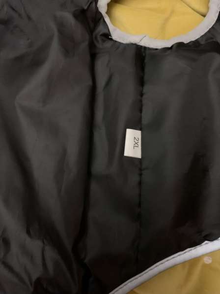 Комбинезон для собаки в Москве фото 5