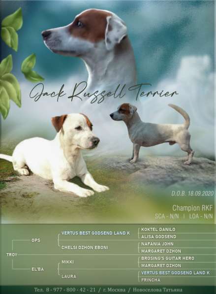 Вязка в Москве фото 3