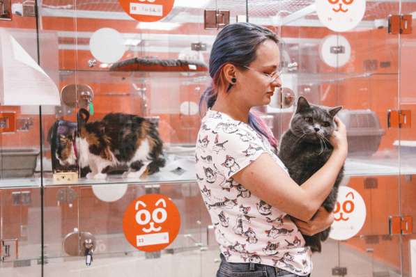 Зоогостиница BookingCat Люберцы/Жулебино в Люберцы фото 30