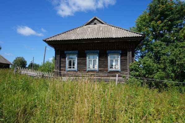 Бревенчатый дом в тихой деревне, рядом с рекой и лесом в Мышкине фото 20