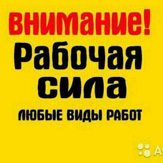 Ищу работу или подработка СПБ или Ленобласть