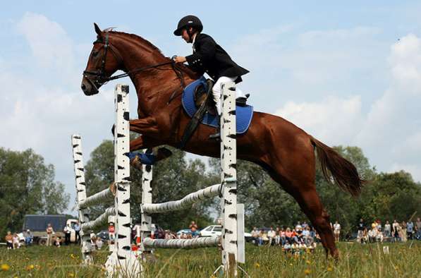 ХОРОШИЙ УЧАСТОК ДЛЯ ХОРОШЕЙ ЖИЗНИ! в Туле фото 8