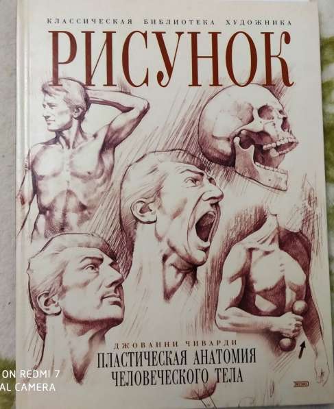 Рисунок. Д. Чиварди. 2 тома. Пластическая анатомия