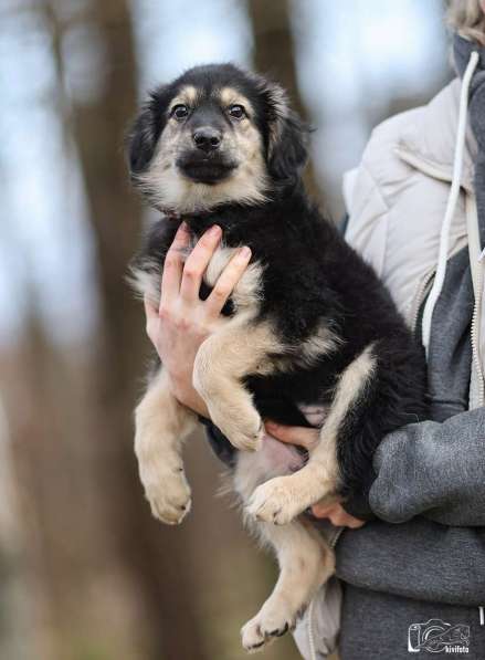 Малышка Юста ищет своих добрых людей в Калуге фото 4