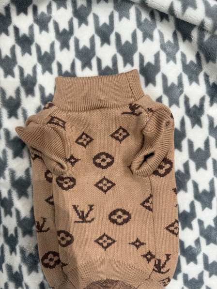 Одежда для маленьких собак в Москве