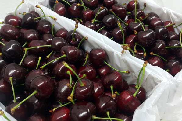 Иранские овощи и фрукты оптом в Москве фото 7