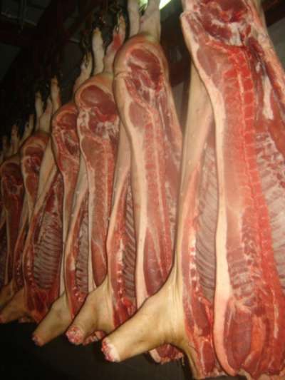 продаю свинину, говядину полутушами в Воронеже фото 5