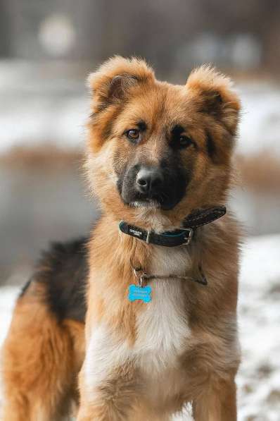 Малыш ищет семью!