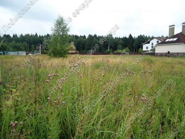 realty_mapper3.plot_in_locationСадовое некоммерческое тов-во. Площадь 15.00 сот.Есть Газ. в Москве фото 6