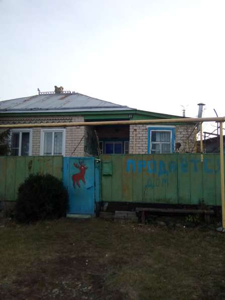 Продается дом со всеми удобствами в Черкесске фото 4