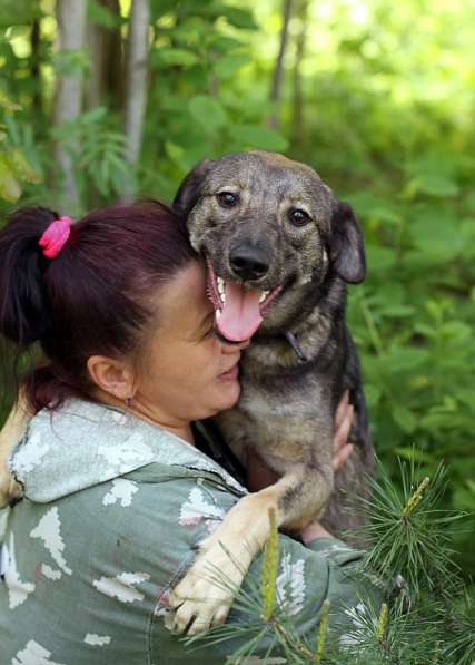 Улыбчивая собачка с рыжими ушками-огоньками в Санкт-Петербурге фото 15