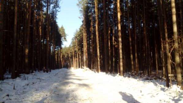 Земельные участки с лесом в Екатеринбурге