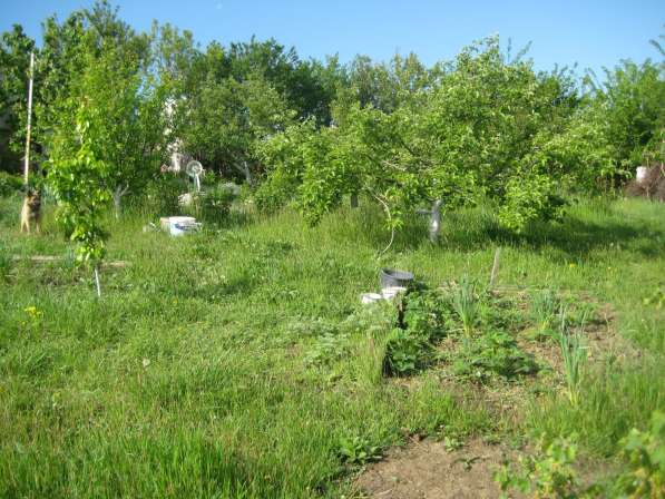 Обмен дома в Крыму на ближайшее Подмосковье в Симферополе фото 16