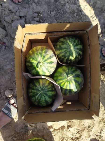 Фрукты и Овощи из Солнечного Узбекистана