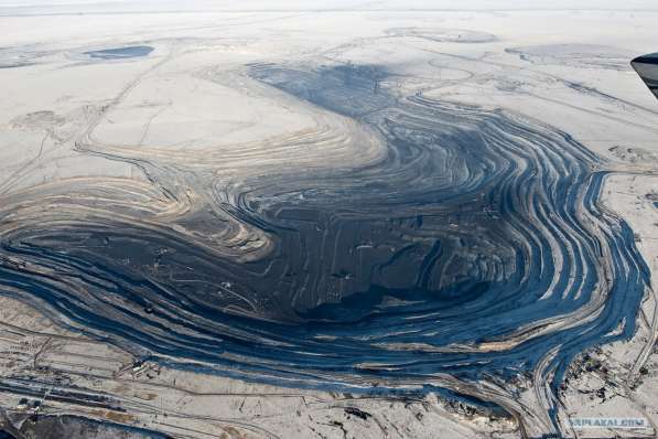 Поставка каменного угля из России и Казахстана в Москве фото 12