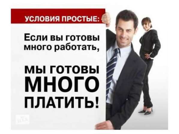 Требуются директора интернет-магазинов в фото 3