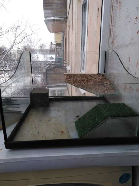 Террариум для красноухой черепахи в Петрозаводске