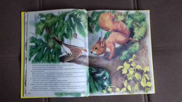 Сказки Бианки в Екатеринбурге фото 12