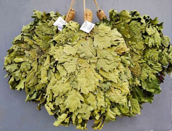 Веники для бани и сауны